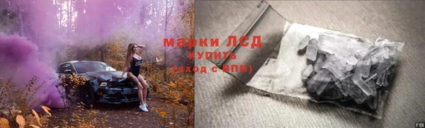 стаф Алексин