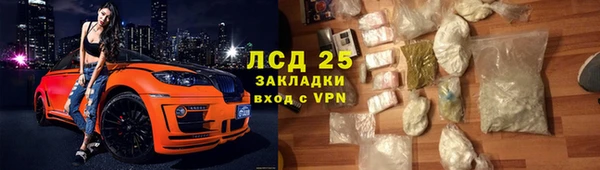 стаф Алексин