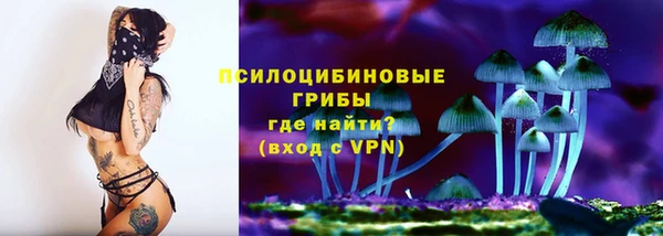 стаф Алексин