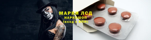 стаф Алексин