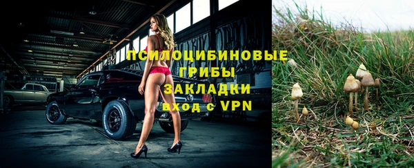 спайс Алексеевка