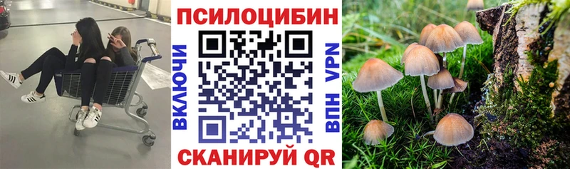 Псилоцибиновые грибы мицелий  Лаишево 